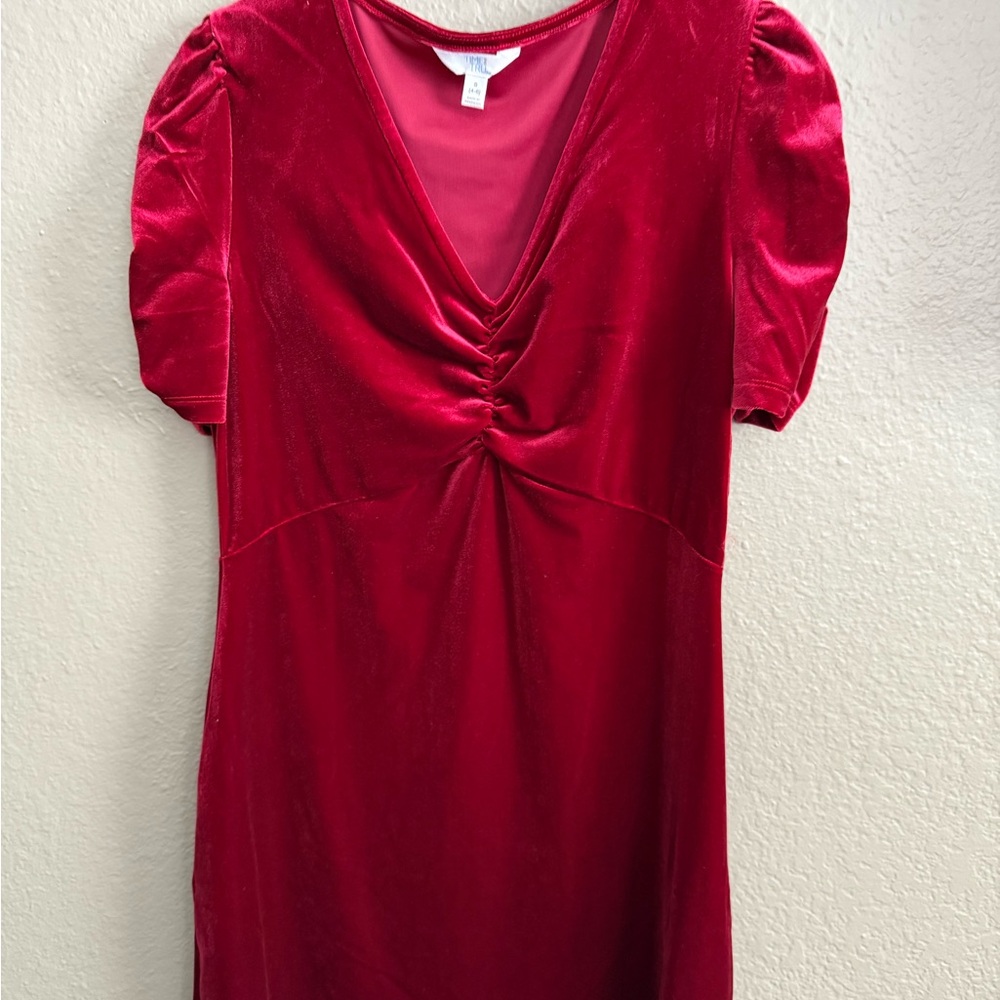 Red Velvet Dress